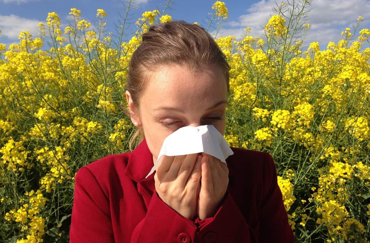 Allergiaszezon