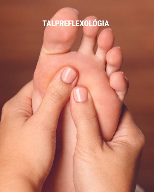 talpreflexológia
